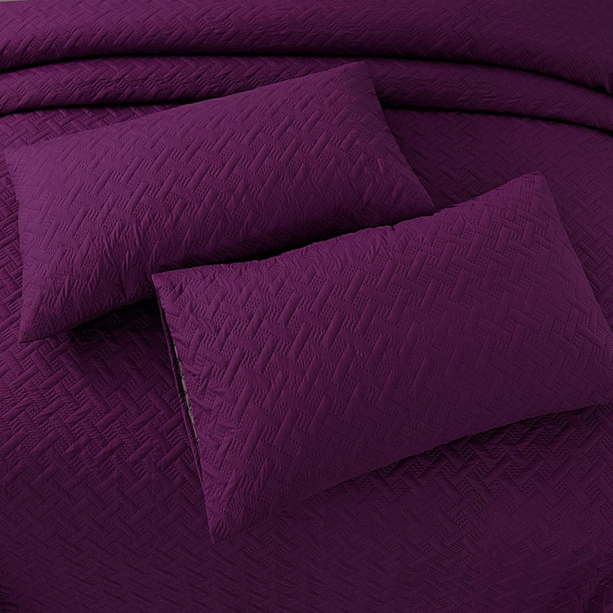 Royal Plum-Ultra Sonic-3pcs Cotton Punch